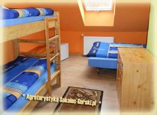 Agroturystyka Sokolec Grski  - Gry Sowie