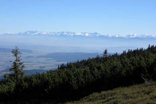 widok z Babiej Gry na Tatry