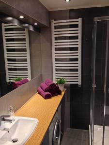 Apartament Widokowy - azienka