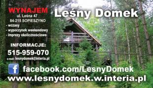Leny Domek
