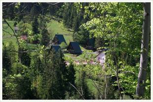 abnica