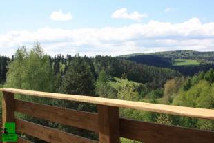 Apartament Zielony Widok - noclegi Bieszczady - widok z tarasu