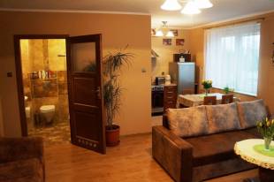 Salon z widokiem na aneks kuchenny i azienk