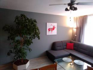 Apartamenty Domotel TM w centrum miasta.