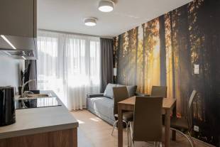 Apartament//Krynica-Zdrj /90 - 110 z / osob